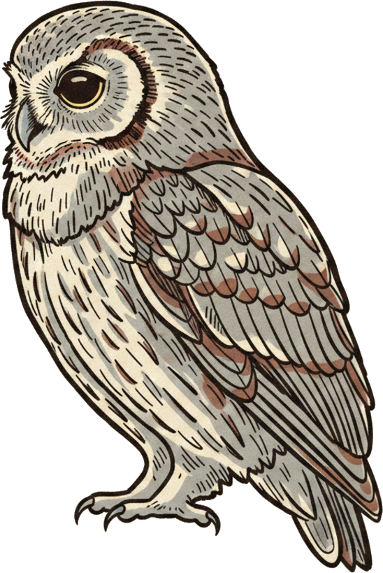 Flammulated Owl